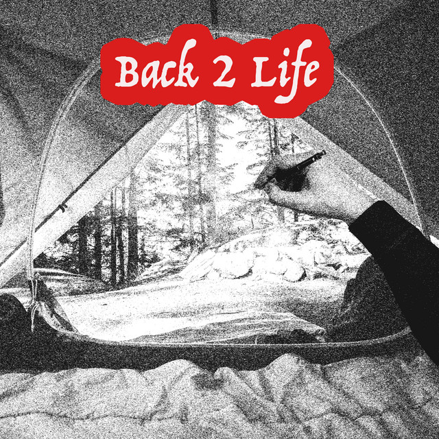 Back 2 Life cover