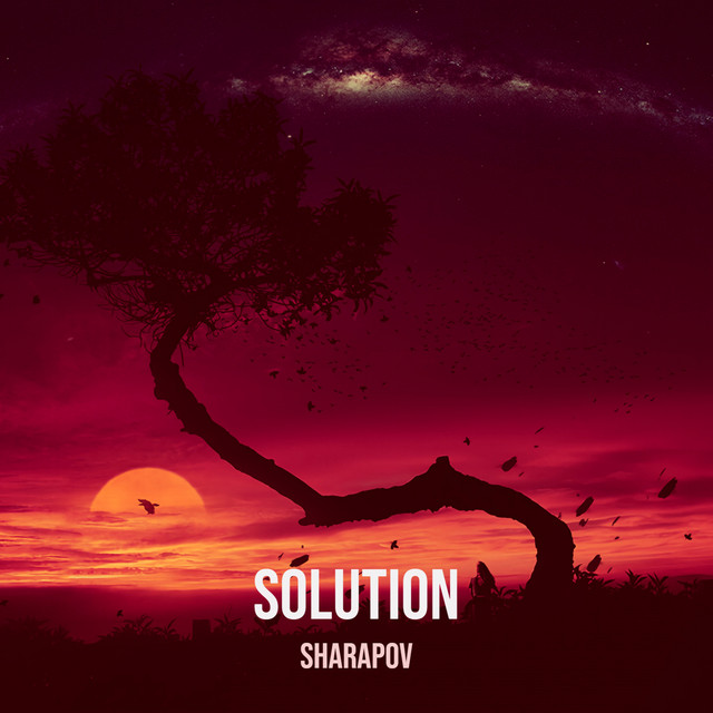 Обкладинка: Solution — Sharapov