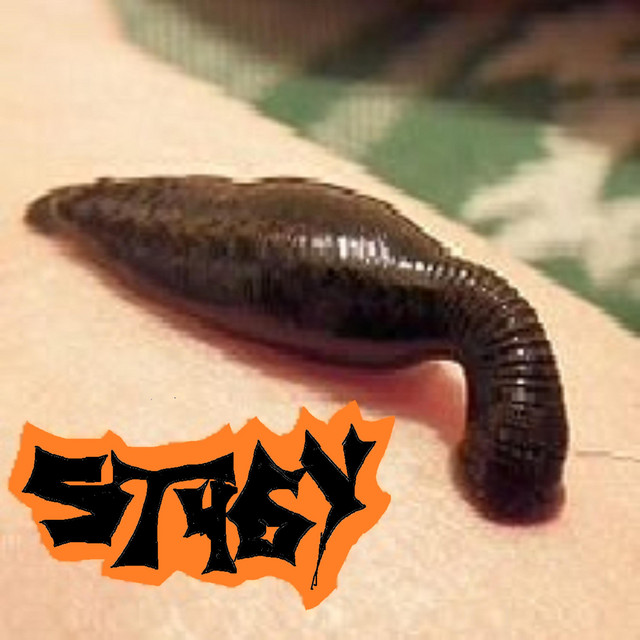 leech cover art