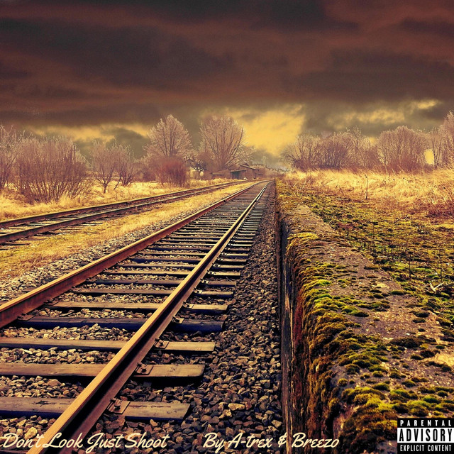 Dont Look Jus Shoot cover art
