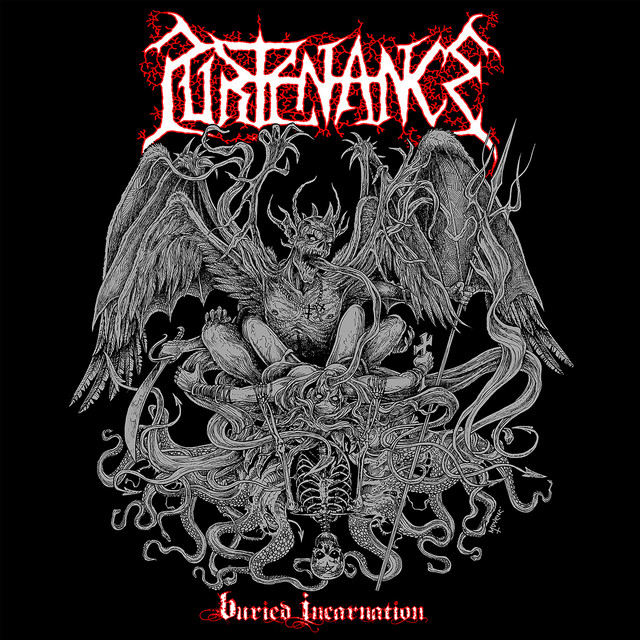 Buried Incarnation cover art