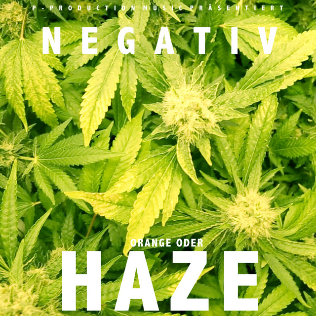 Orange oder Haze cover