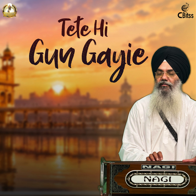 Tete Hi Gun Gayie album image