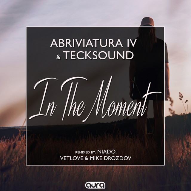 In the Moment - VetLove & Mike Drozdov Remix cover art