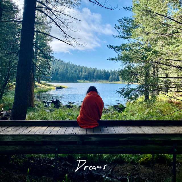 Dreams (Live) - Single by Steven Fero | Spotify