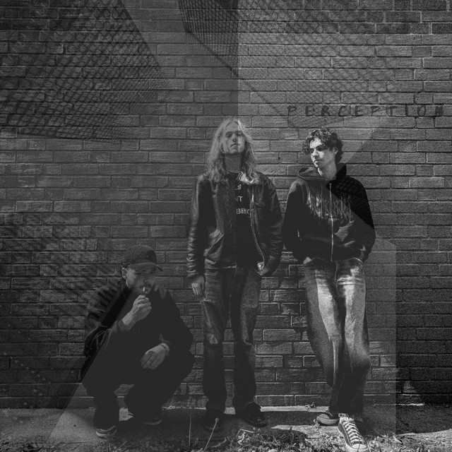 Perception cover art