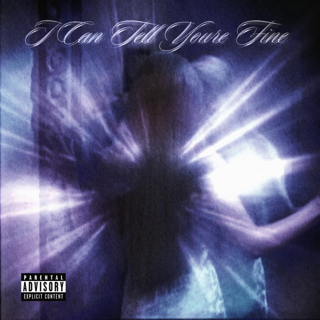 I Can Tell You're Fine cover art