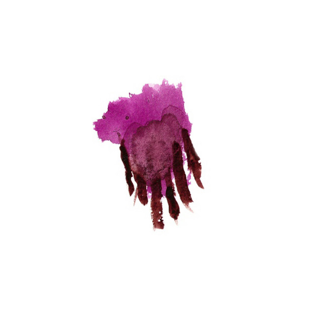 Setting Up cover art