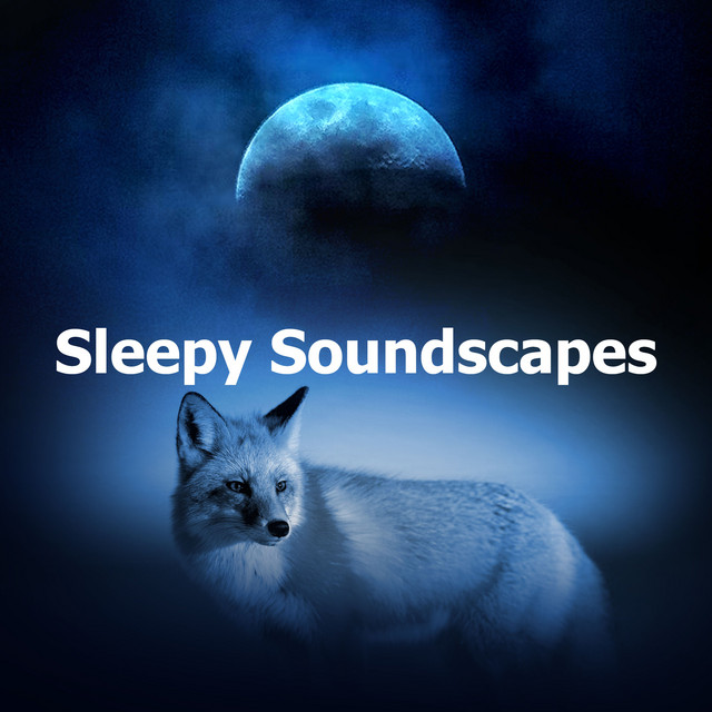 Sleepy Soundscapes cover art