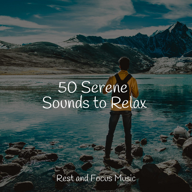 50 Serene Sounds to Relax - Album by Deep Sleep Music Delta Binaural ...