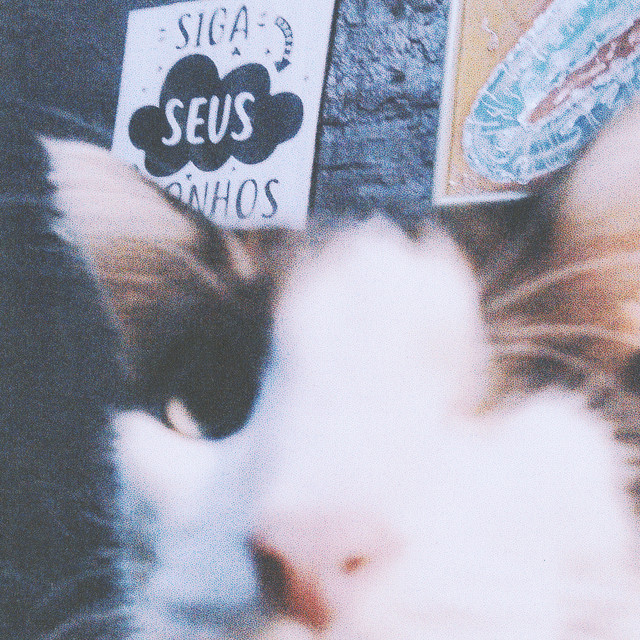 Domingo cover art