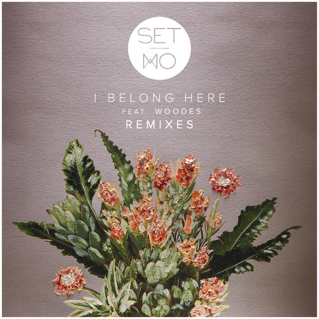 I Belong Here (Remixes) cover art