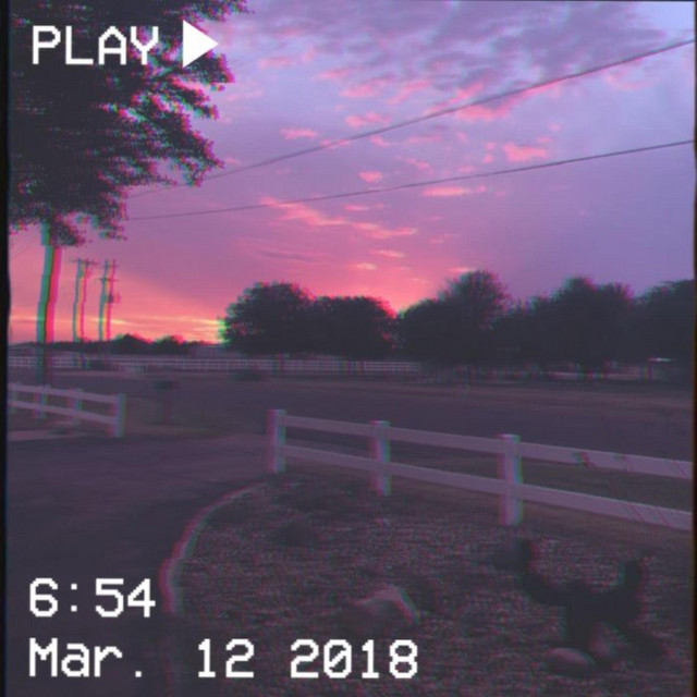 ~ What's The Point ~ cover art