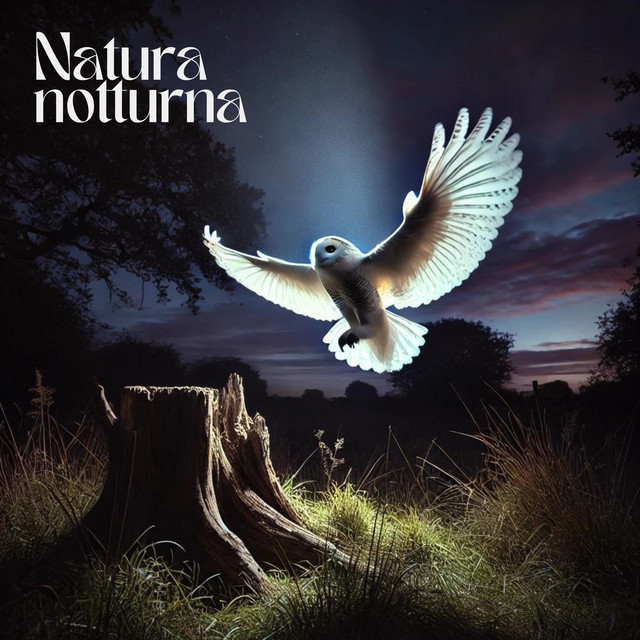 Natura notturna: Terapia di rilassamento per il sonno profondo - Album ...