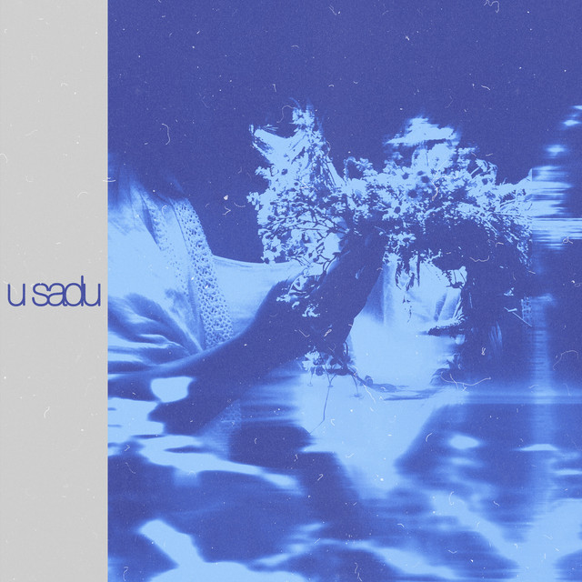 Обкладинка: u sadu - Acoustic Version — ҐRumpy