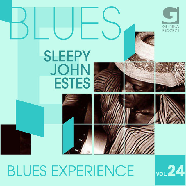 Blues Experience, Vol. 24 cover art