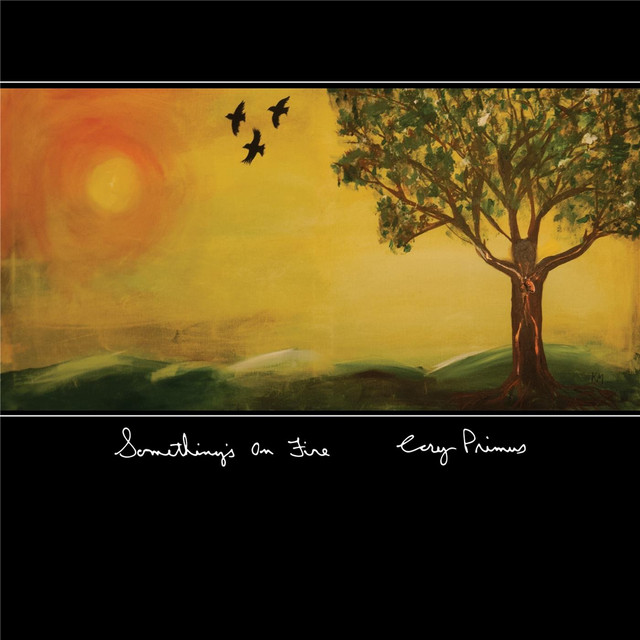 Something's on Fire cover art