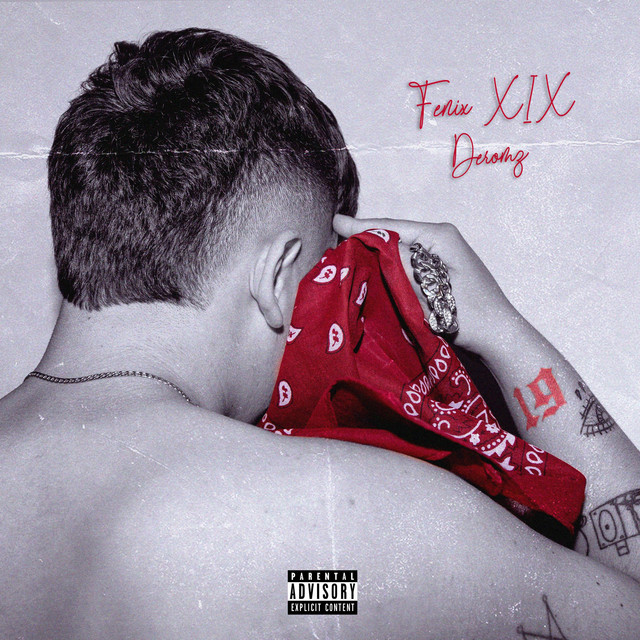 Fenix XIX cover art