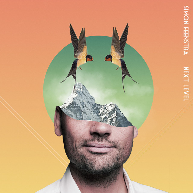 Next Level cover art