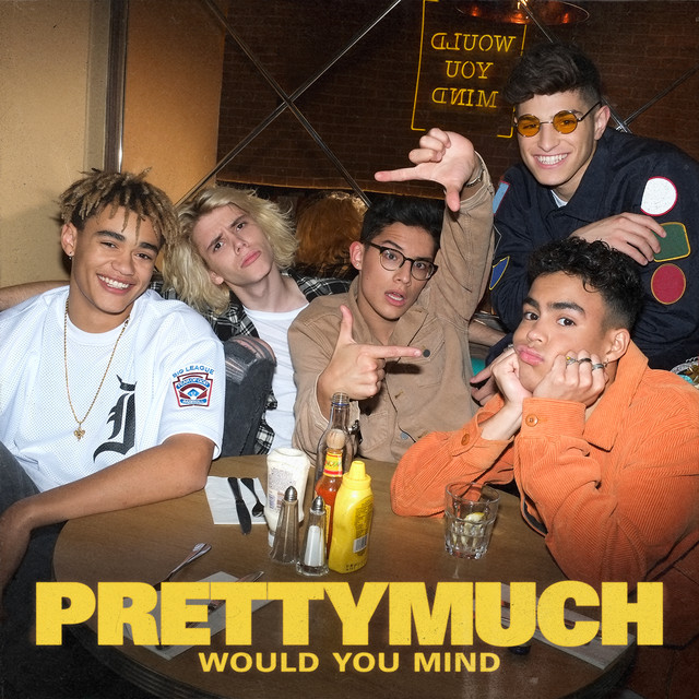 Would You Mind cover art
