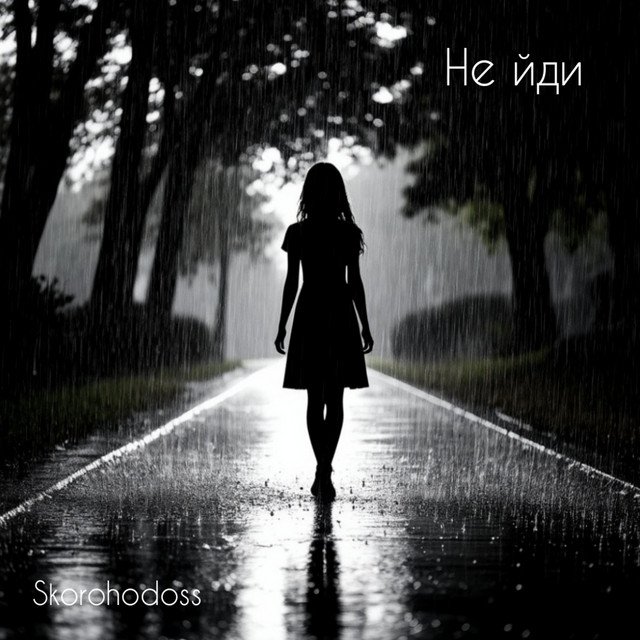 Обкладинка: Не йди — Skorohodoss