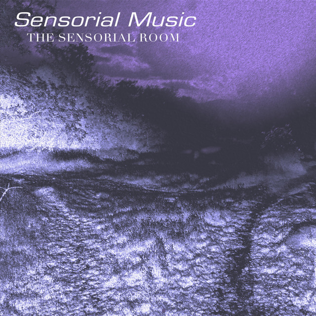 Sensorial Music - Album by The Sensorial Room | Spotify
