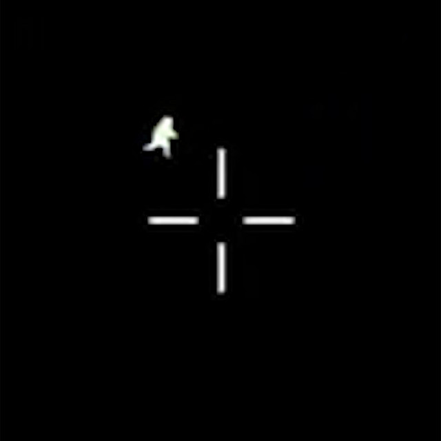 55 Star cover art