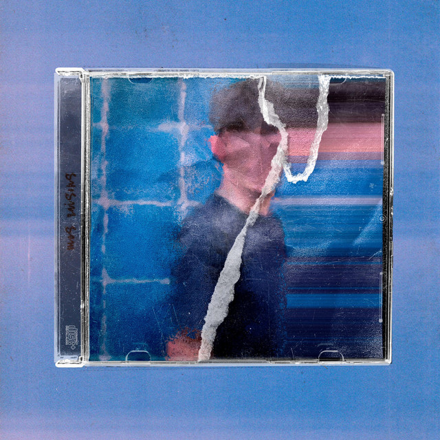 Mes raisons cover art