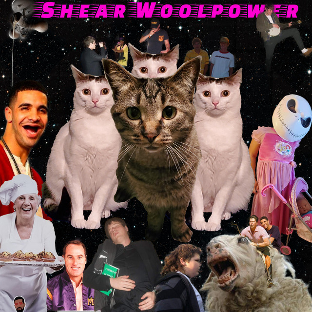 Shear Woolpower cover art