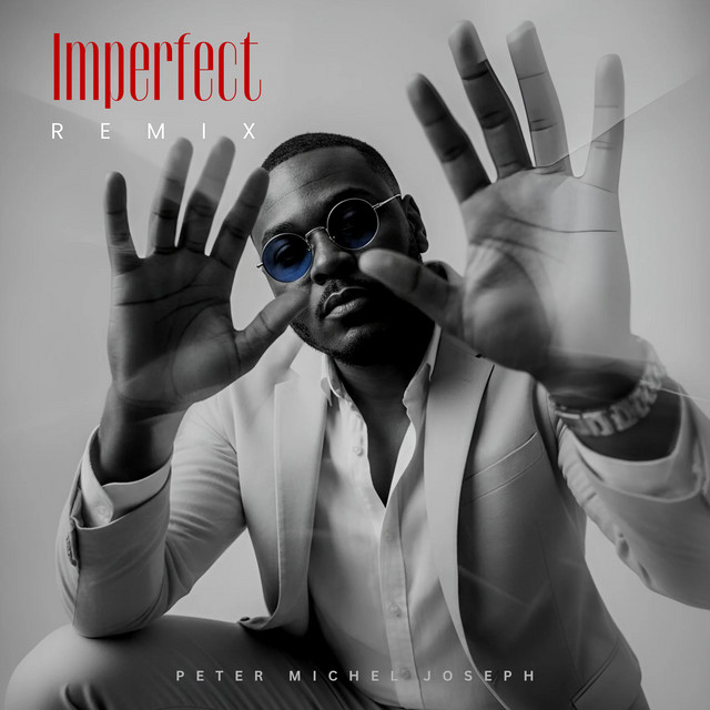 IMPERFECT (Remix) album image