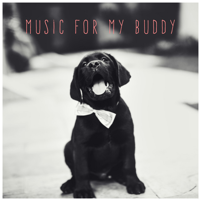 Music for My Buddy cover art