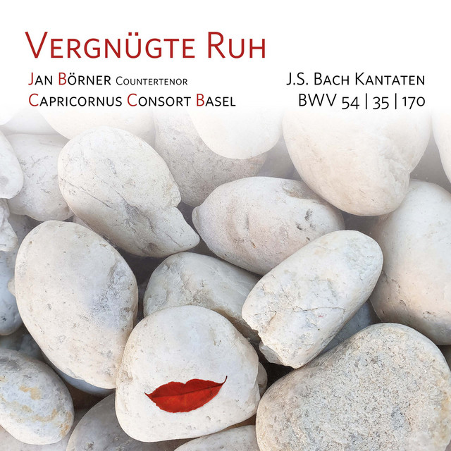 Vergnügte Ruh