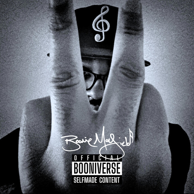 Vaughn Solo II: The Final Level cover