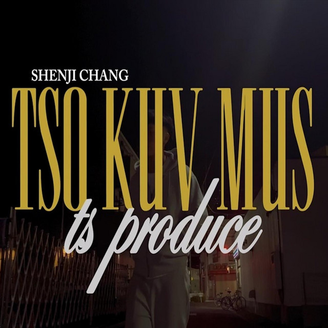 Tso Koj Mus - song and lyrics by Shenji Chang | Spotify