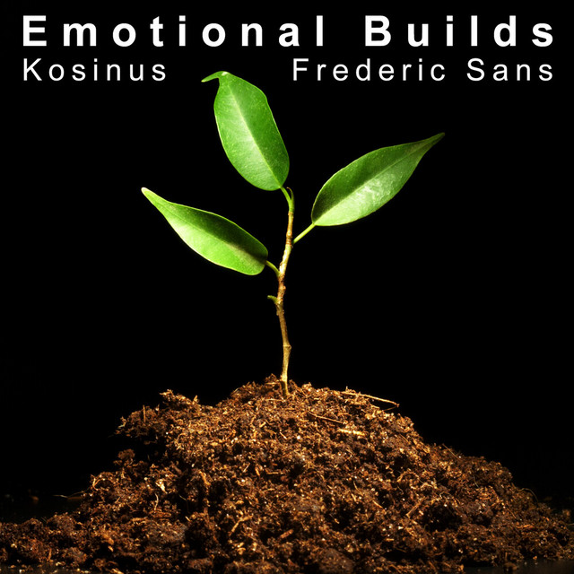 Emotional Builds cover art