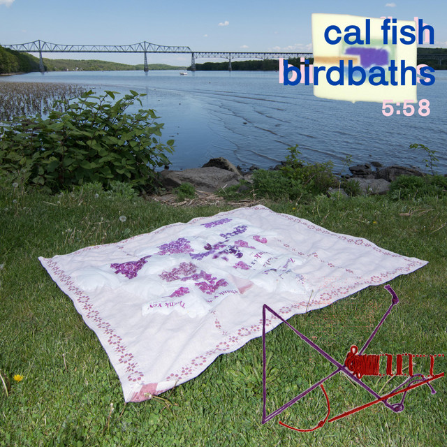 Birdbaths cover art