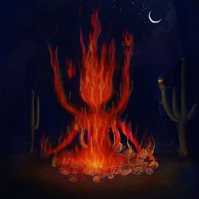 Pájaros cover art