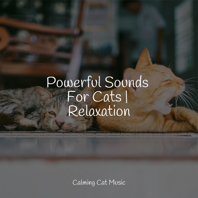 Powerful Sounds For Cats | Relaxation - Album by Cat Music Therapy ...