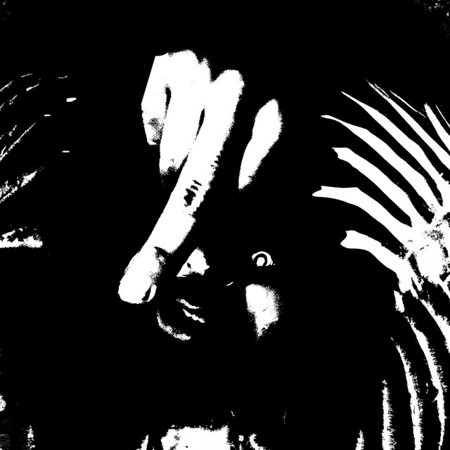 24/3 דאמפ cover art