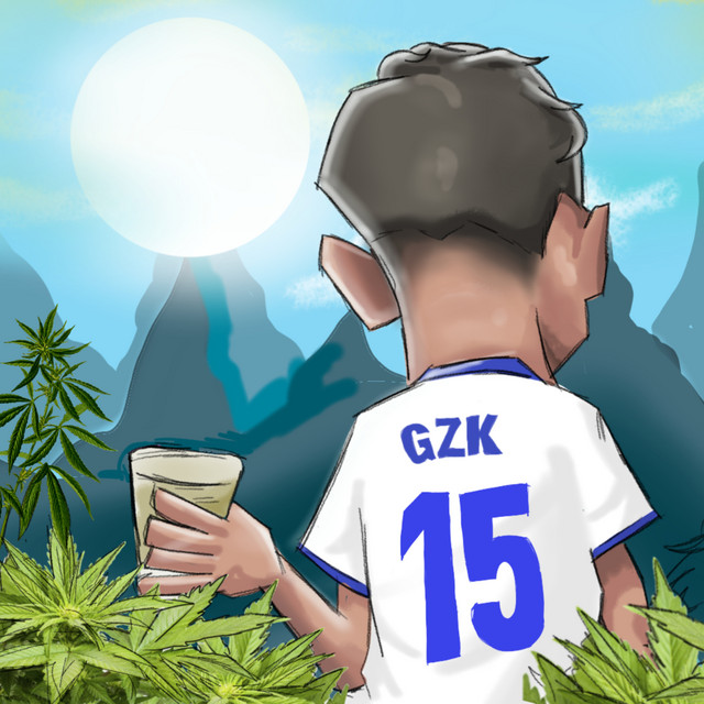 Camisa 15 cover art