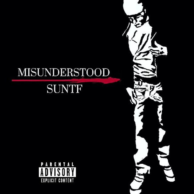 Misunderstood cover art