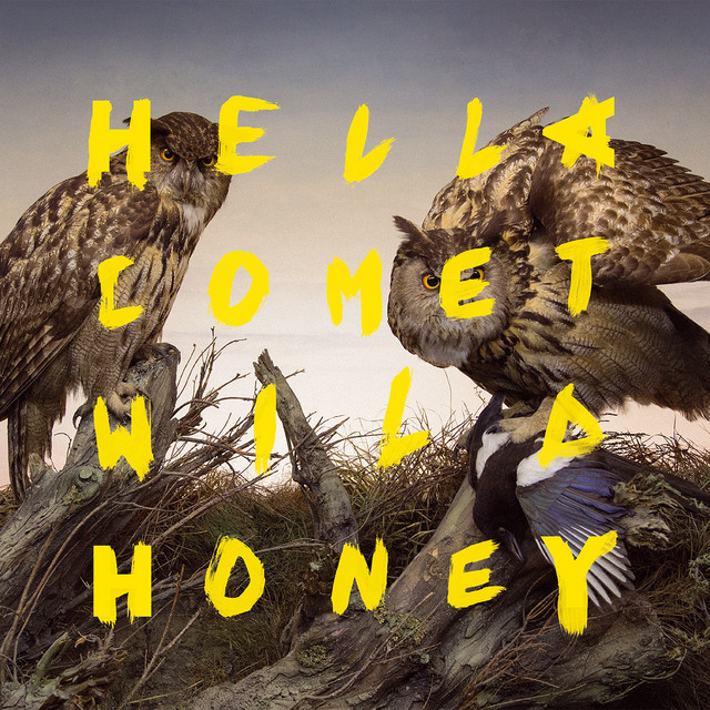 Wild Honey cover