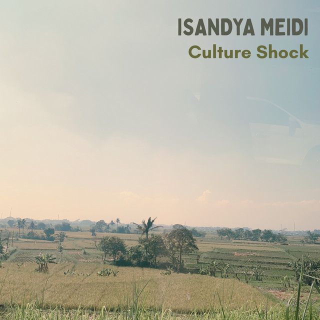 Culture Shock