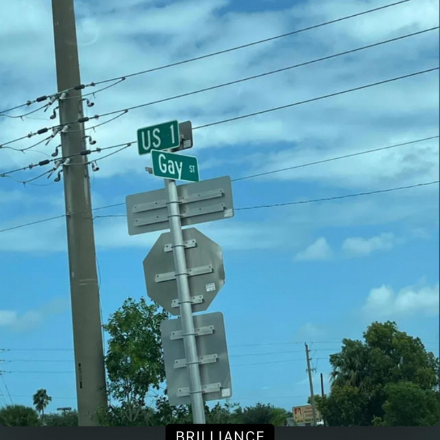 The Central Florida Project cover