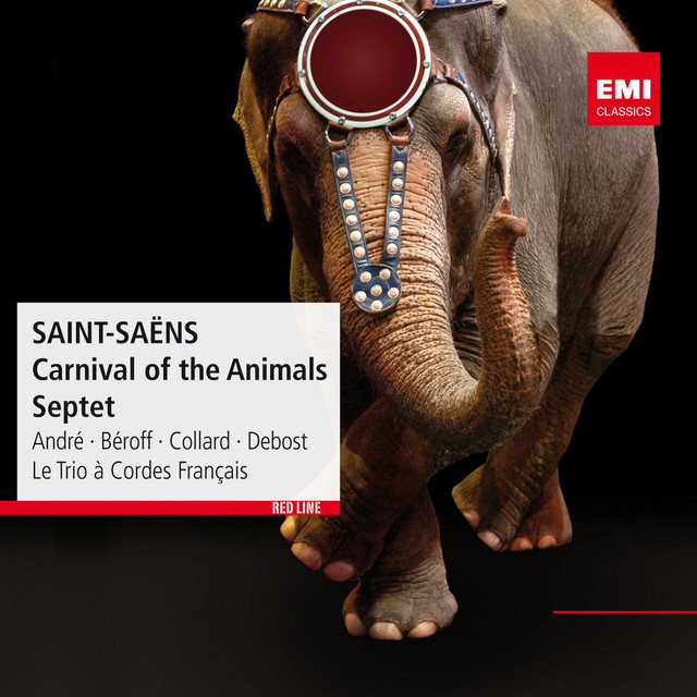 Saint-Saëns: Le carnaval des animaux, R 125: II. Poules et coqs - III. Hemiones - IV. Tortues - V. L'éléphant - VI. Kangourous & VII. Aquarium