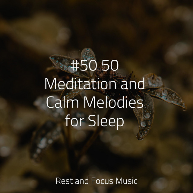 #50 50 Meditation and Calm Melodies for Sleep - Album by Deep Sleep ...
