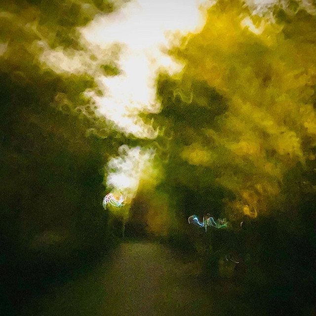 everything cover art