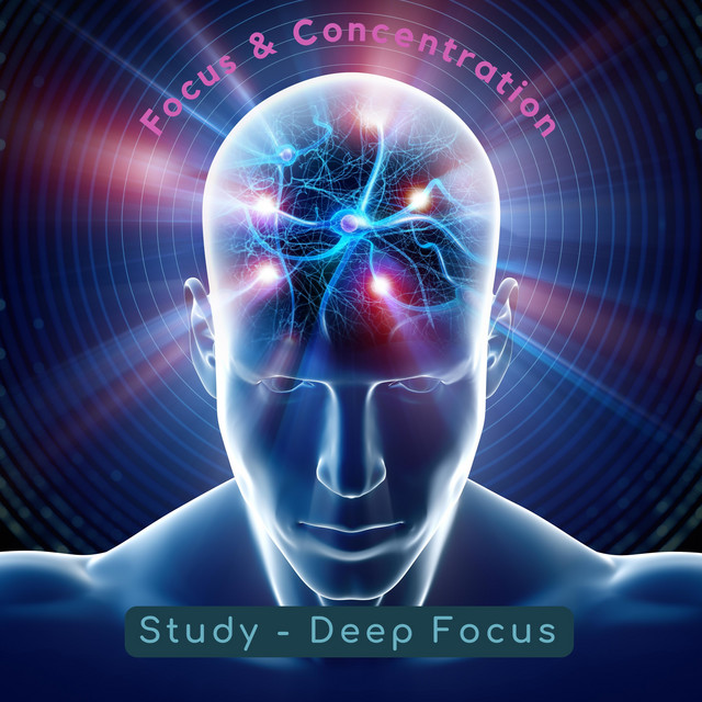 Focus & Concentration cover art