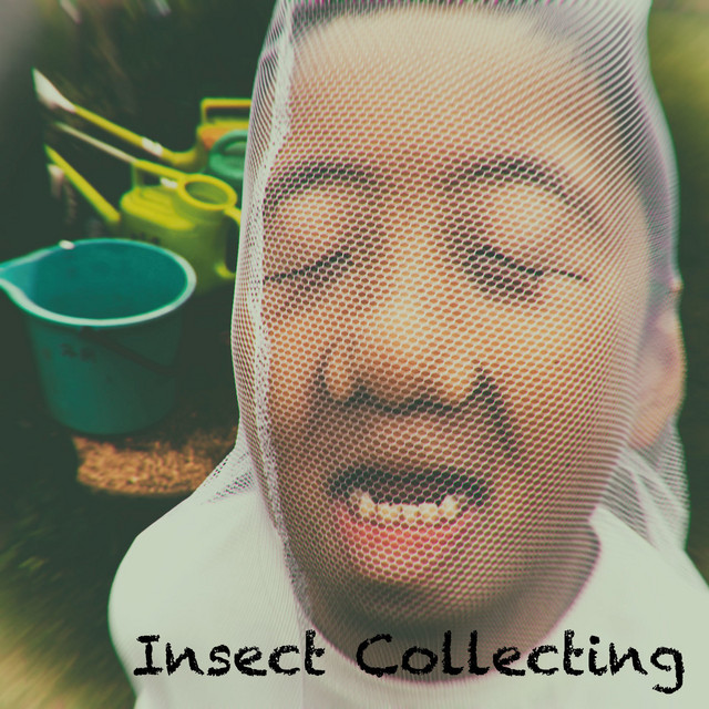Insect Collecting cover art