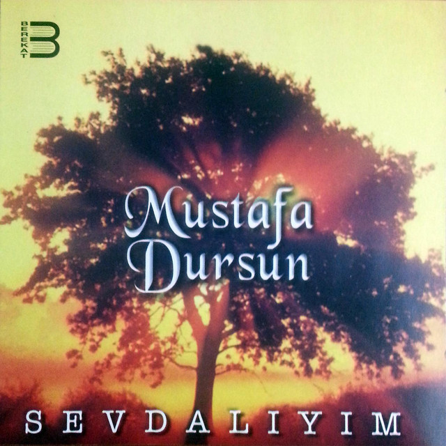 Sevdalıyım cover art